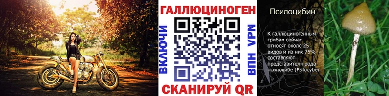 Купить где  Щёкино  Галлюциногенные грибы MAGIC MUSHROOMS 